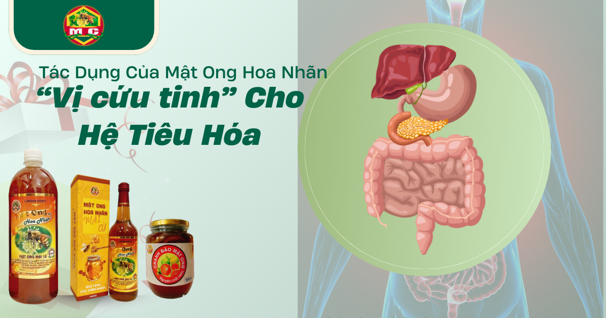 Tác Dụng Của Mật Ong Hoa Nhãn – “Vị cứu tinh” Cho Hệ Tiêu Hóa 🍯