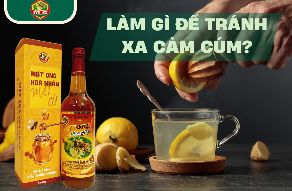 Làm Gì Để Tránh Xa Cảm Cúm? Bí Quyết Từ Mật Ong Chanh Tự Nhiên