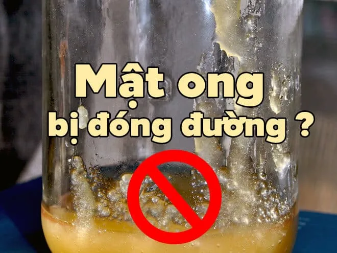 Mật ong kết tinh – biết rồi, khổ lắm, vào đây giải thích cho nghe! - Ảnh 1 Mật ong kết tinh – biết rồi, khổ lắm, vào đây giải thích cho nghe!
